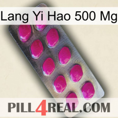 Lang Yi Hao 500 Mg 09